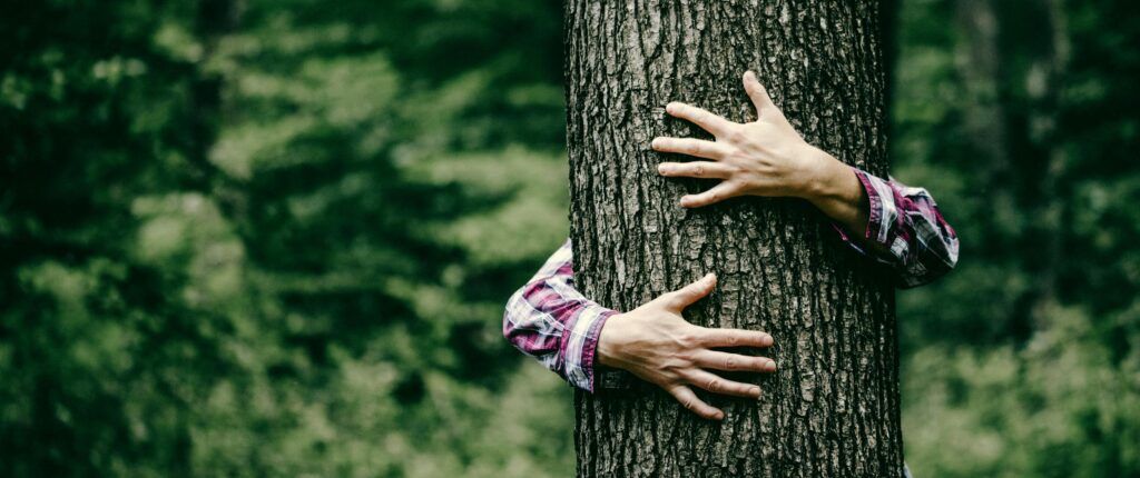 Wir sind uns unserer sozialen Verantwortung als Akteur im Wirtschaftskreislauf bewusst. Deshalb richten wir unser Handeln nach ethischen Grundsätzen aus und möchten unseren Planeten so wenig wie möglich belasten. Dafür kompensieren wir unsere CO2 Emissionen 1:1, setzen auf lokale Produkte und Lieferanten und spenden 1% unseres Jahresgewinns an wohltätige Zwecke.